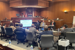 Appellate-Practice-Committee-and-Civil-Practice-Committee-CLE-Event-4.21-2