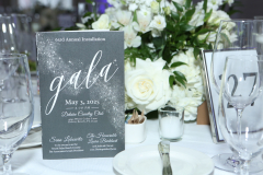 Gala-2025-5.3-5