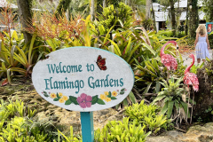 Health-and-Wellness-Committees-Adventure-Club-Goes-to-Flamingo-Gardens-9.23-1