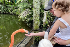 Health-and-Wellness-Committees-Adventure-Club-Goes-to-Flamingo-Gardens-9.23-3