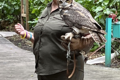 Health-and-Wellness-Committees-Adventure-Club-Goes-to-Flamingo-Gardens-9.23-9
