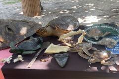 YLS-Beach-Clean-Up-9.14-2
