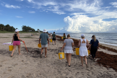 YLS-Beach-Clean-Up-9.19-1