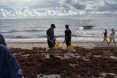 YLS-Beach-Clean-Up-9.19-10
