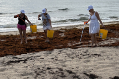 YLS-Beach-Clean-Up-9.19-17