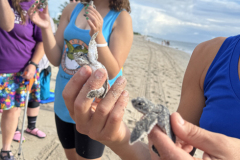YLS-Beach-Cleanup-9.13-10