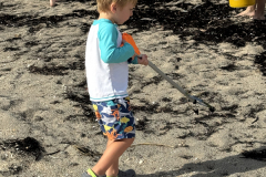 YLS-Beach-Cleanup-9.13-24