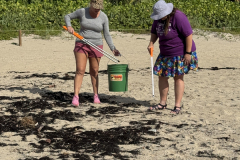 YLS-Beach-Cleanup-9.13-25