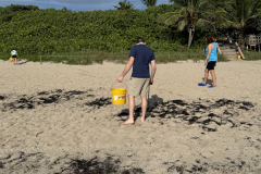YLS-Beach-Cleanup-9.13-27