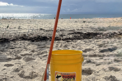 YLS-Beach-Cleanup-9.13-33
